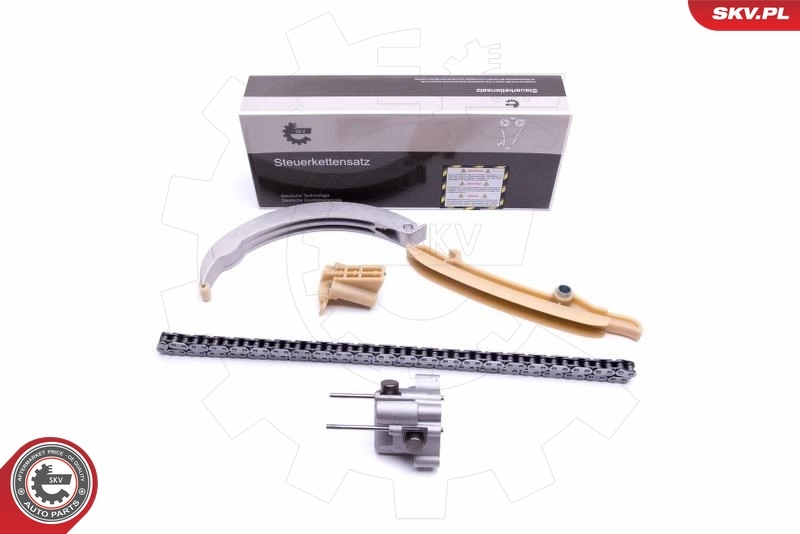 Timing Chain Kit